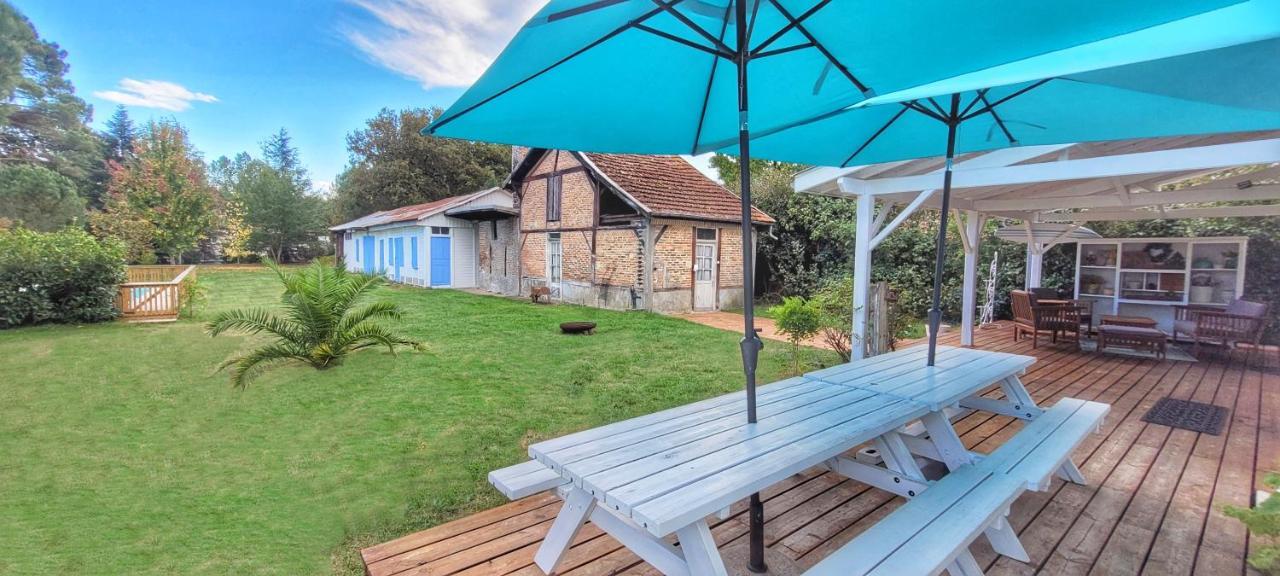 Charmante Maison Dans Les Landes X 10 Avec Piscine Et Salle D Escalade Lue Exteriér fotografie